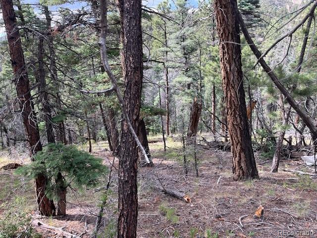 Lot 5757 Balleroy Road San Luis CO 81152