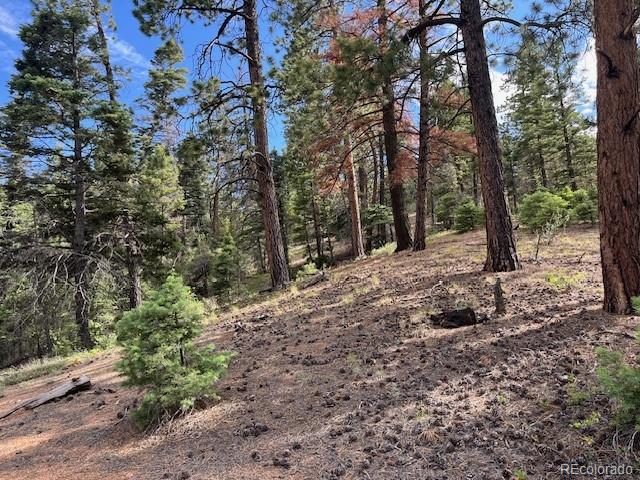 Lot 5757 Balleroy Road San Luis CO 81152