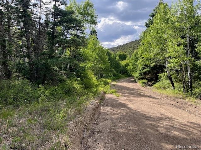 Lot 5757 Balleroy Road San Luis CO 81152