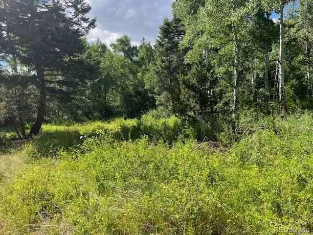 Lot 5757 Balleroy Road San Luis CO 81152