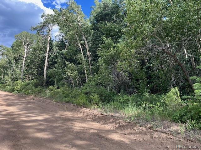 Lot 5757 Balleroy Road San Luis CO 81152
