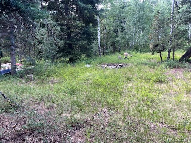Lot 5757 Balleroy Road San Luis CO 81152