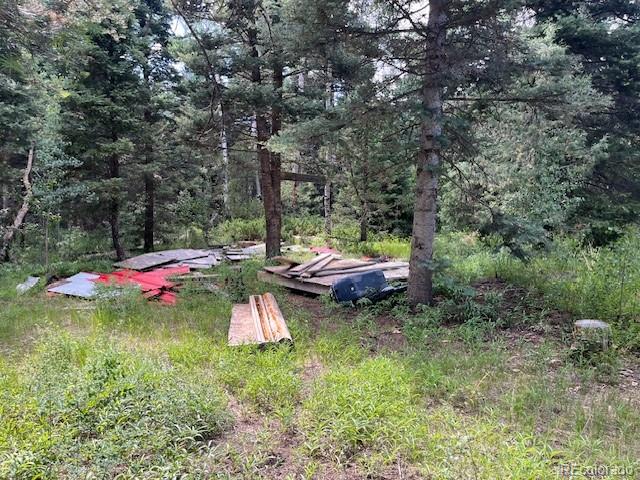 Lot 5757 Balleroy Road San Luis CO 81152