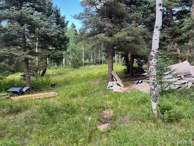 Lot 5757 Balleroy Road San Luis CO 81152