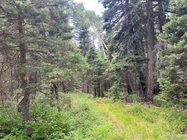 Lot 5757 Balleroy Road San Luis CO 81152