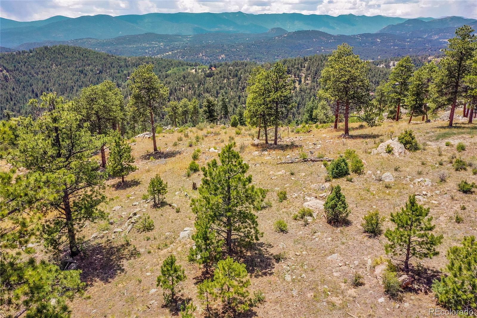 33550 Mount Wilson Trail Pine CO 80470