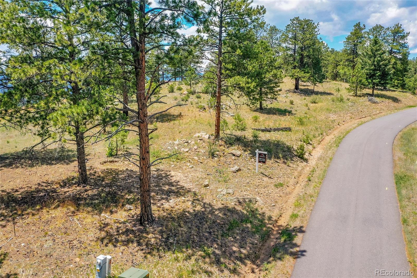 33550 Mount Wilson Trail Pine CO 80470
