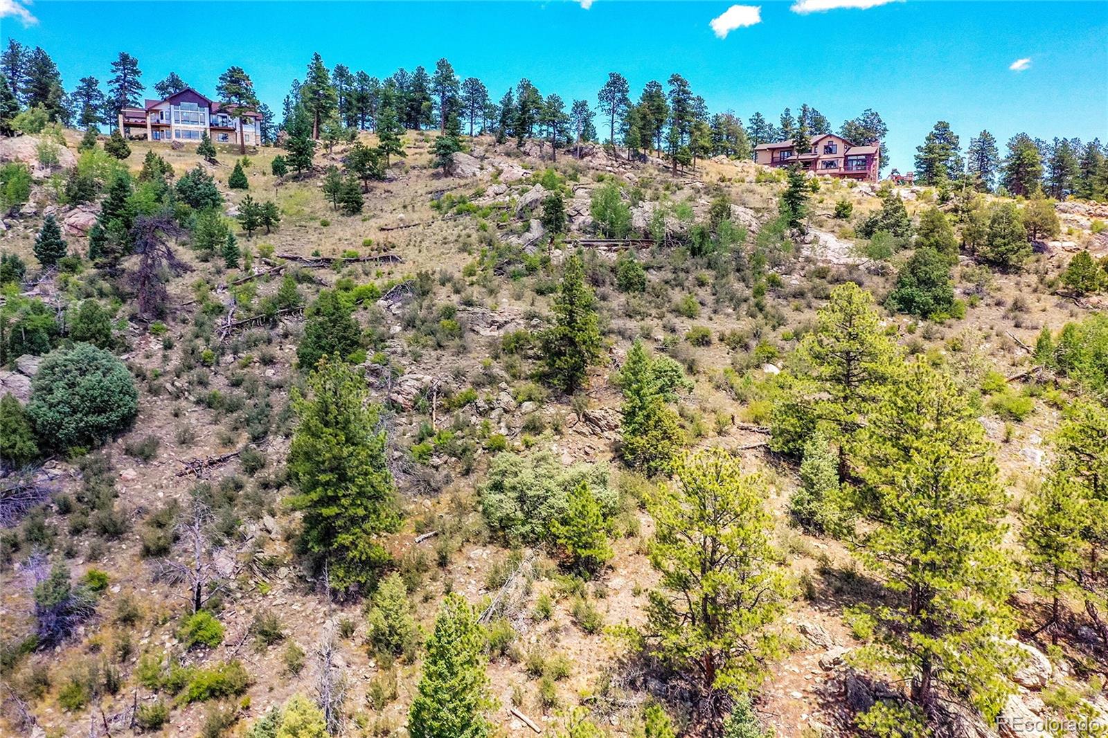 33550 Mount Wilson Trail Pine CO 80470