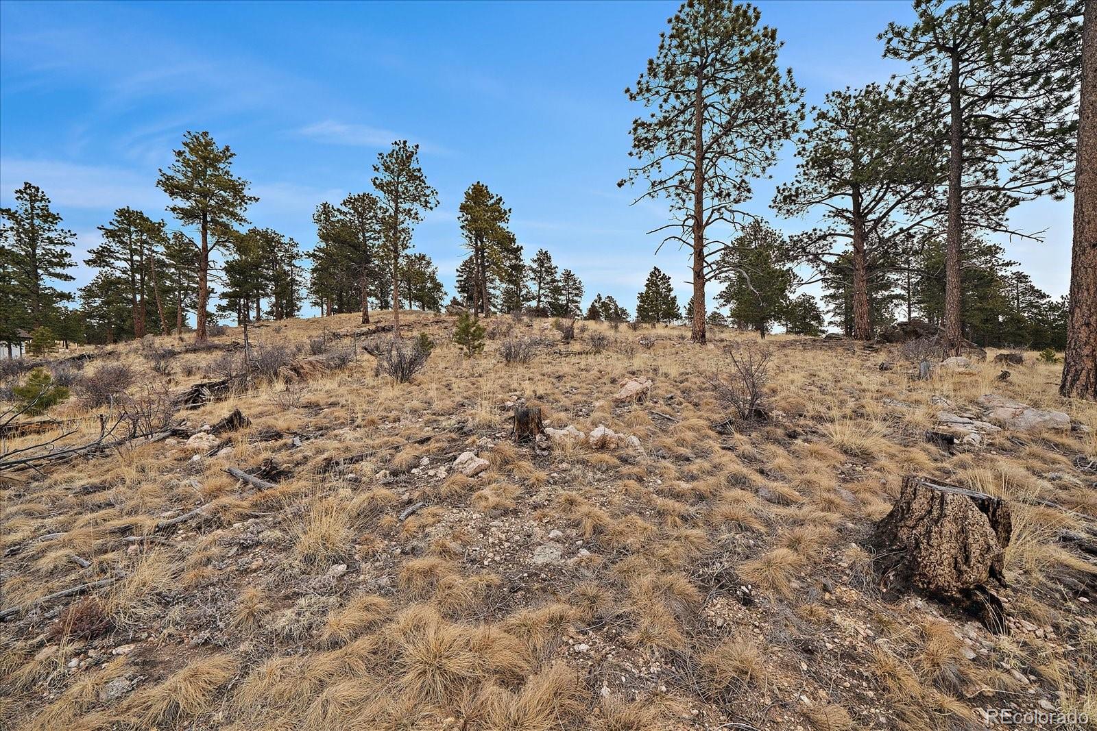 33550 Mount Wilson Trail Pine CO 80470