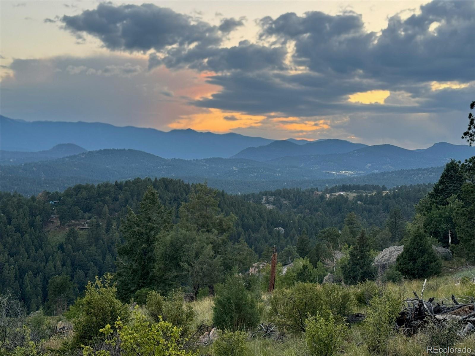 33550 Mount Wilson Trail Pine CO 80470