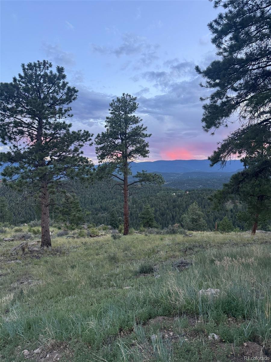 33550 Mount Wilson Trail Pine CO 80470