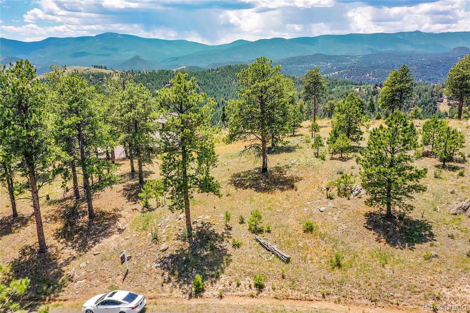 33550 Mount Wilson Trail Pine CO 80470