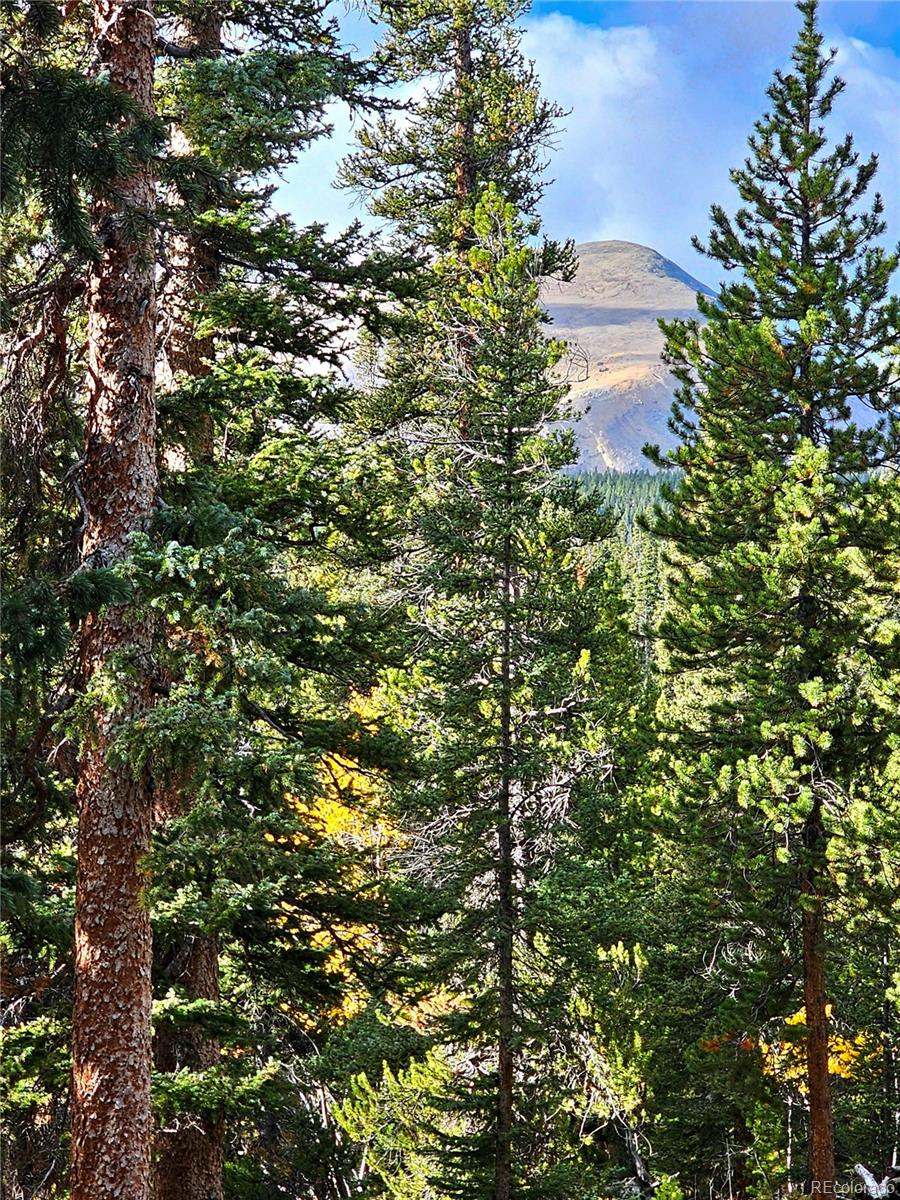 102 Gold Trail Fairplay CO 80440