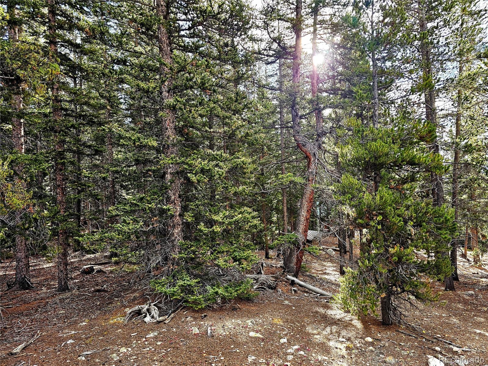102 Gold Trail Fairplay CO 80440