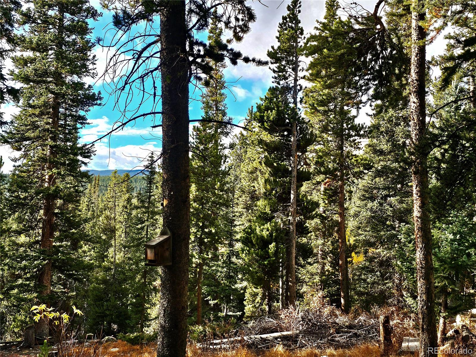 102 Gold Trail Fairplay CO 80440