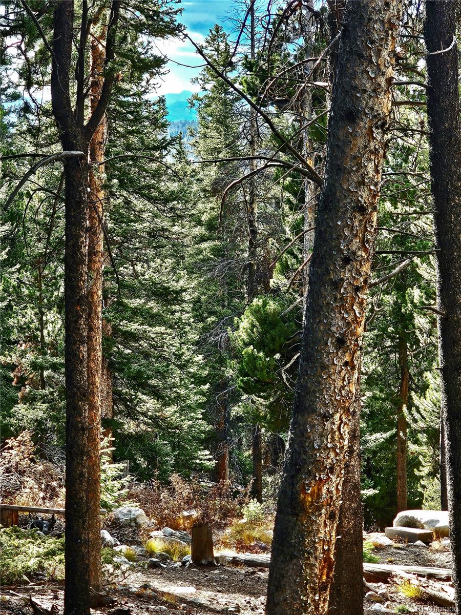 102 Gold Trail Fairplay CO 80440