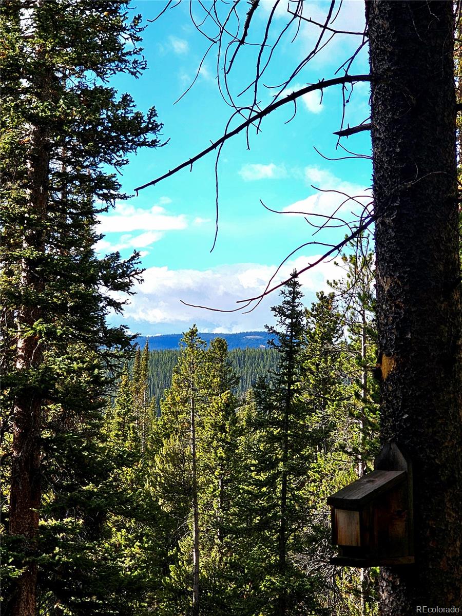 102 Gold Trail Fairplay CO 80440