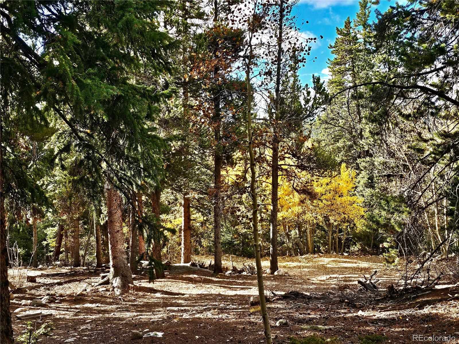 102 Gold Trail Fairplay CO 80440