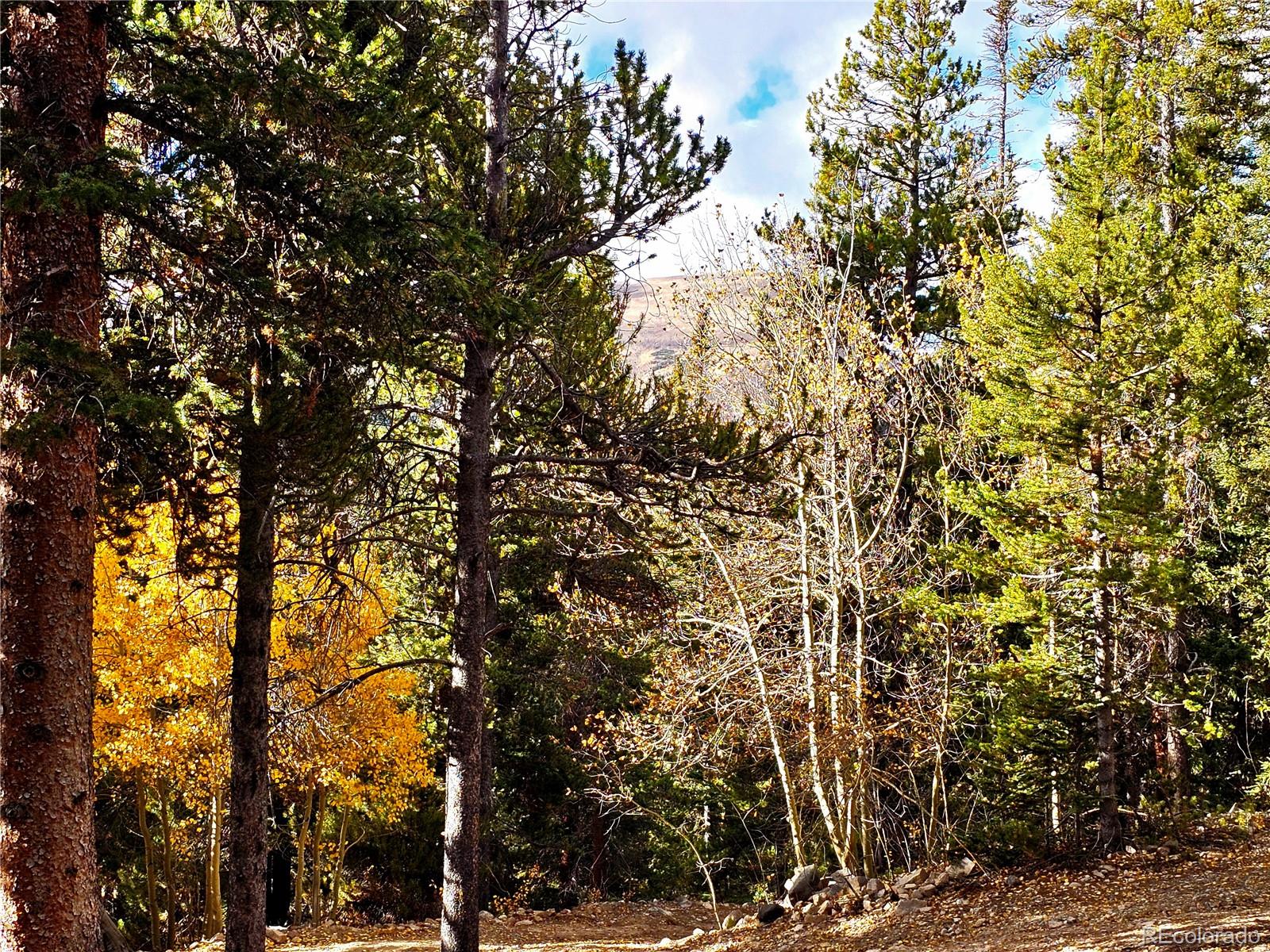 102 Gold Trail Fairplay CO 80440