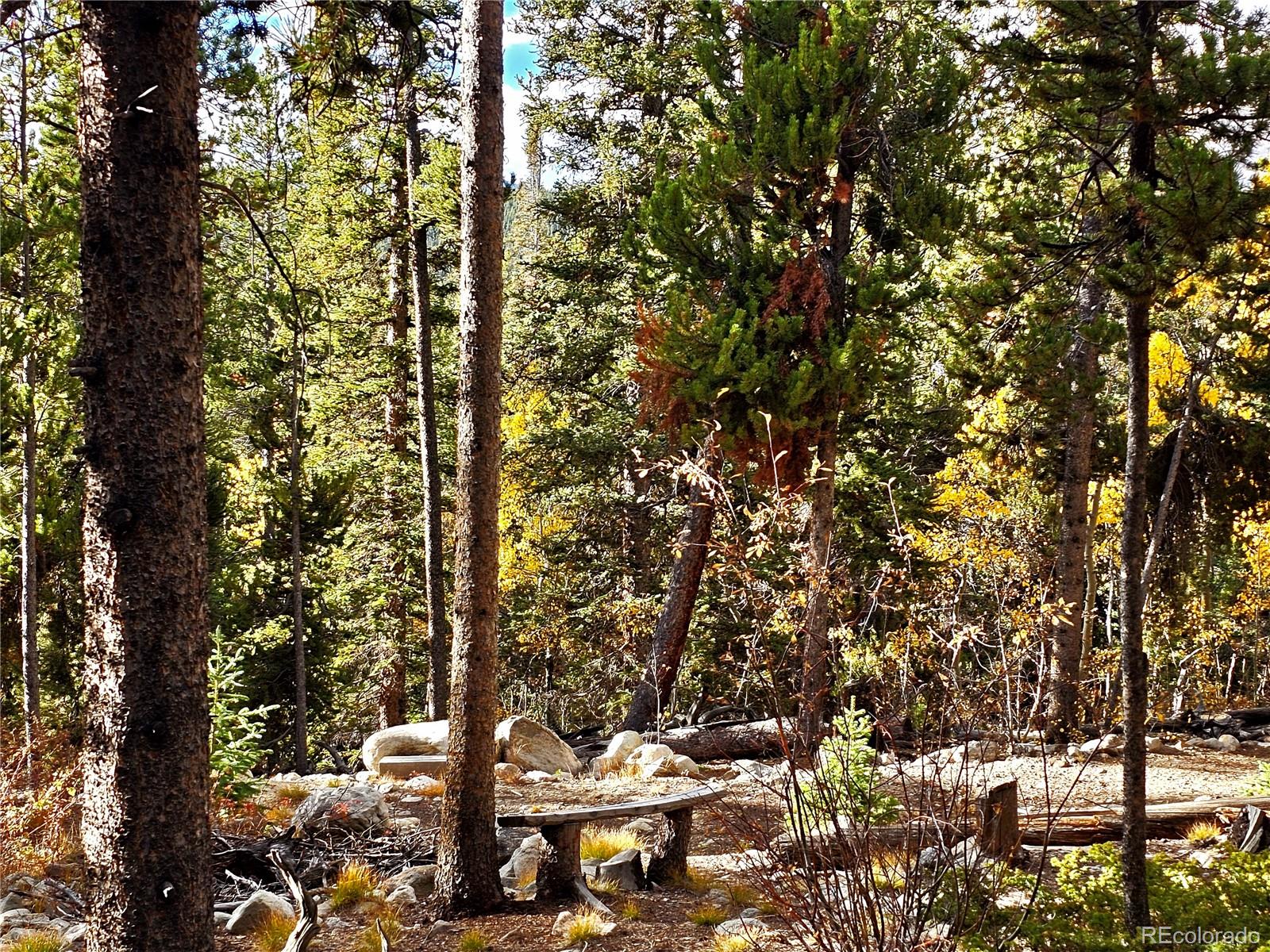 102 Gold Trail Fairplay CO 80440