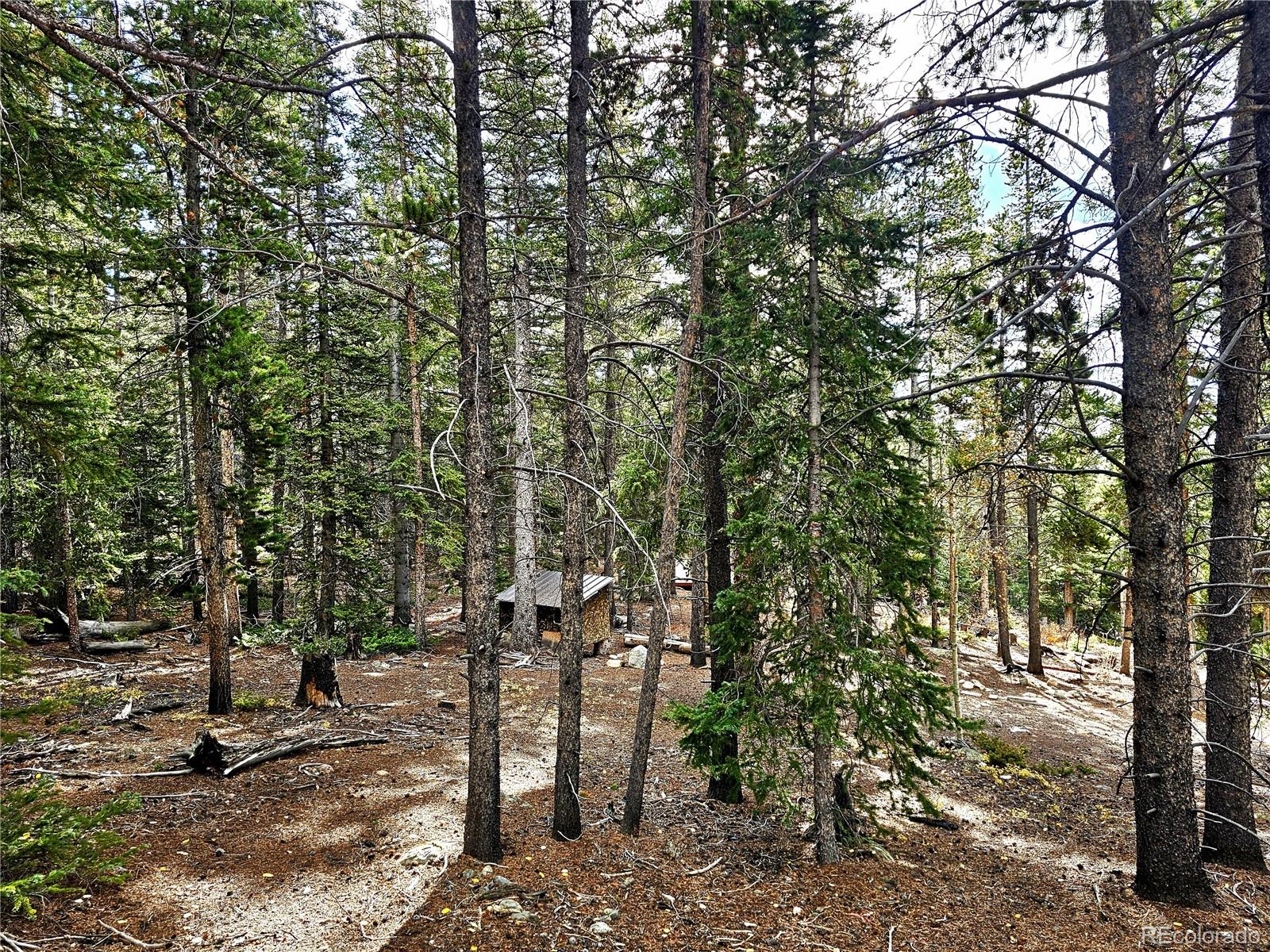 102 Gold Trail Fairplay CO 80440