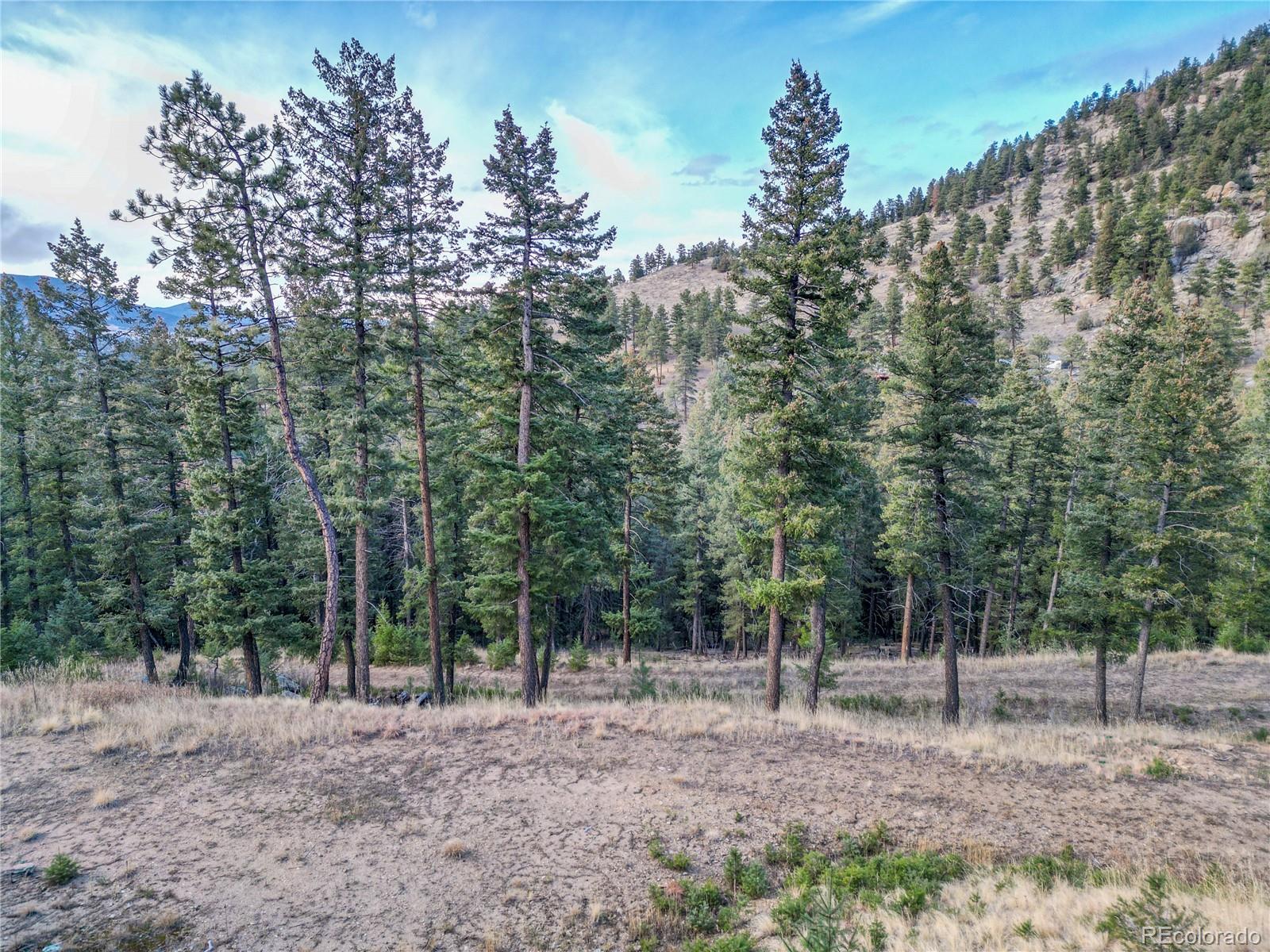 26779 Fern Gulch Road Evergreen CO 80439