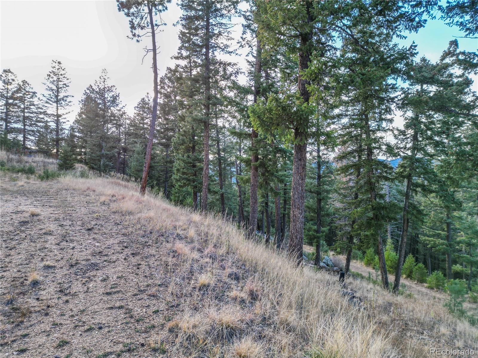 26779 Fern Gulch Road Evergreen CO 80439