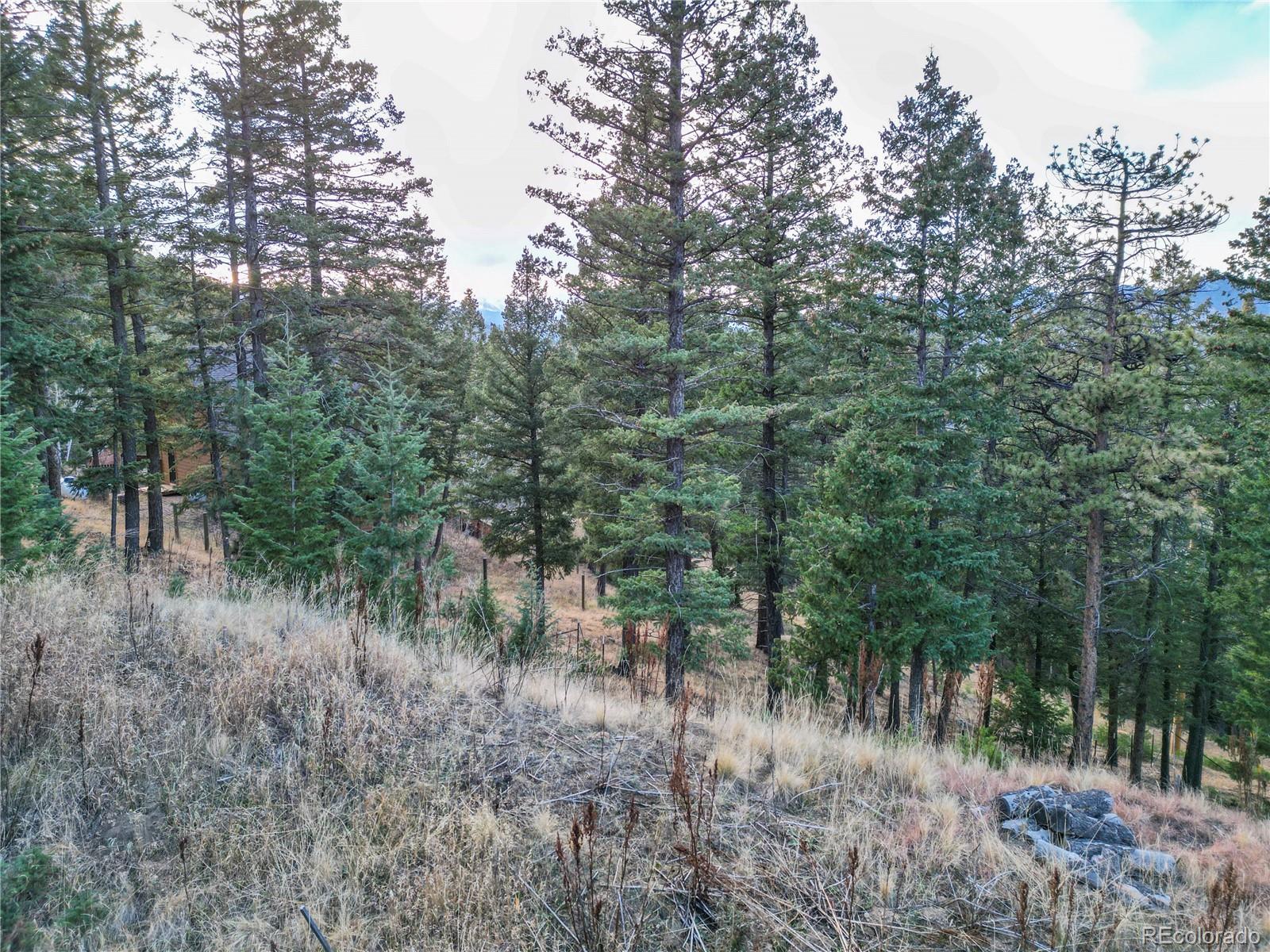 26779 Fern Gulch Road Evergreen CO 80439