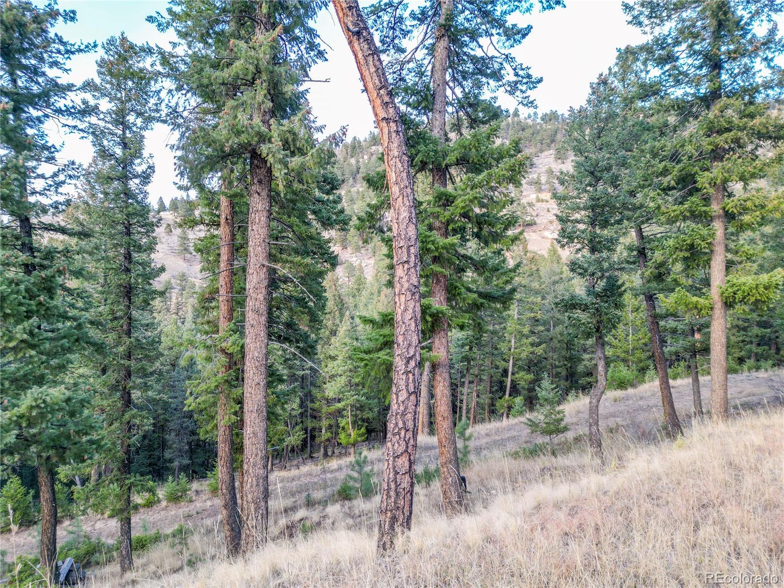 26779 Fern Gulch Road Evergreen CO 80439