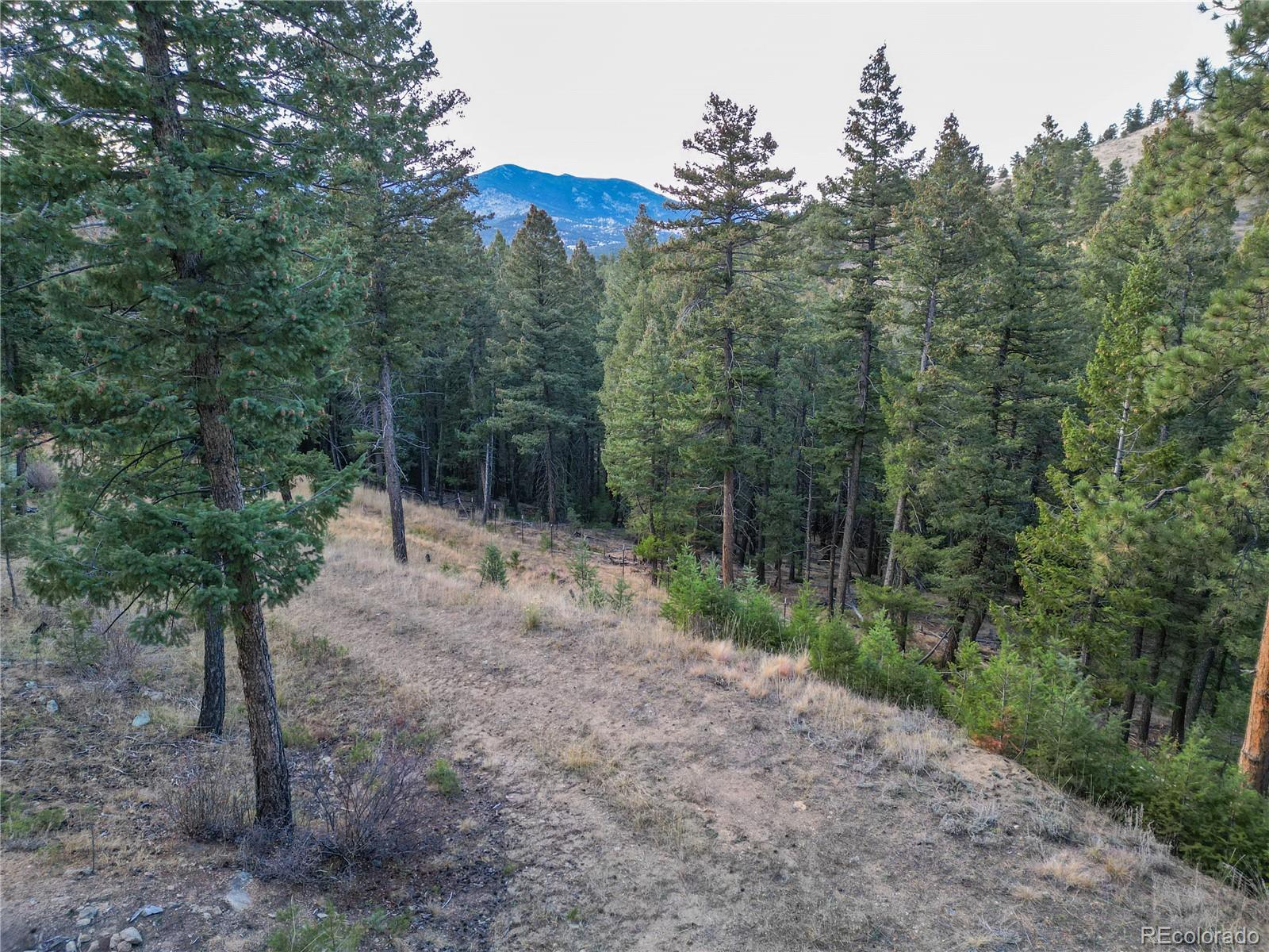 26779 Fern Gulch Road Evergreen CO 80439