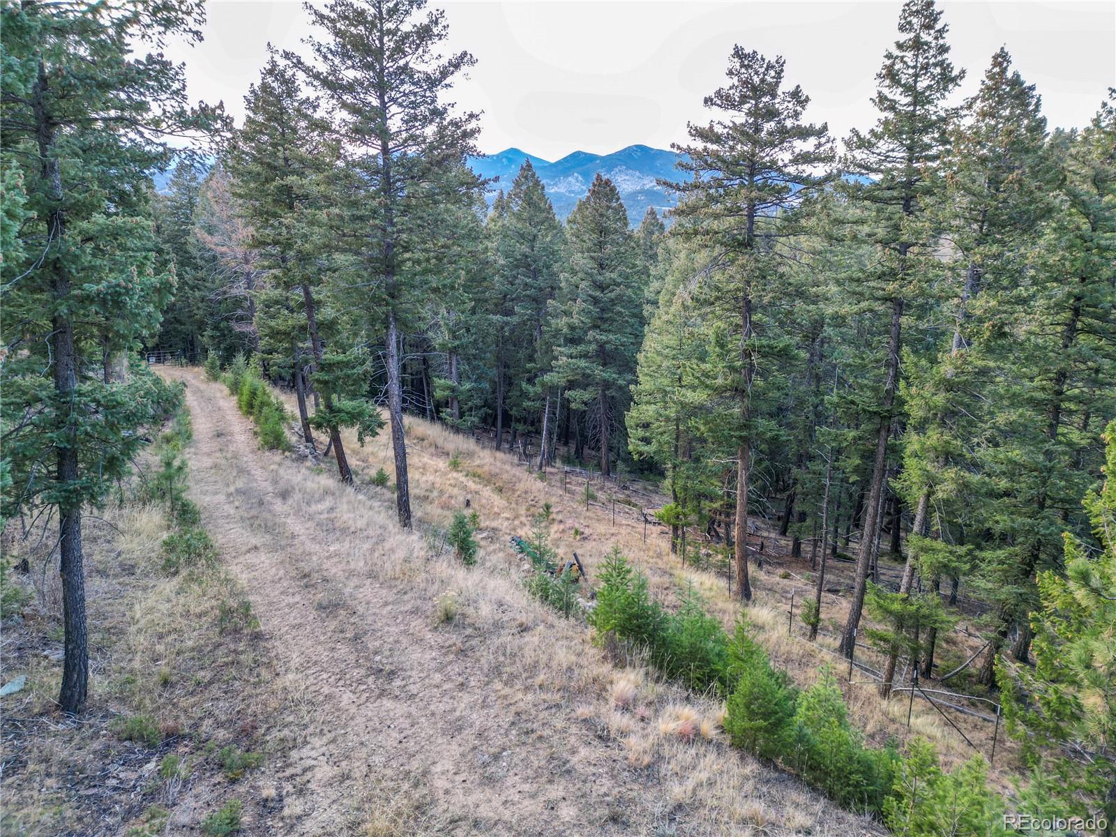 26779 Fern Gulch Road Evergreen CO 80439