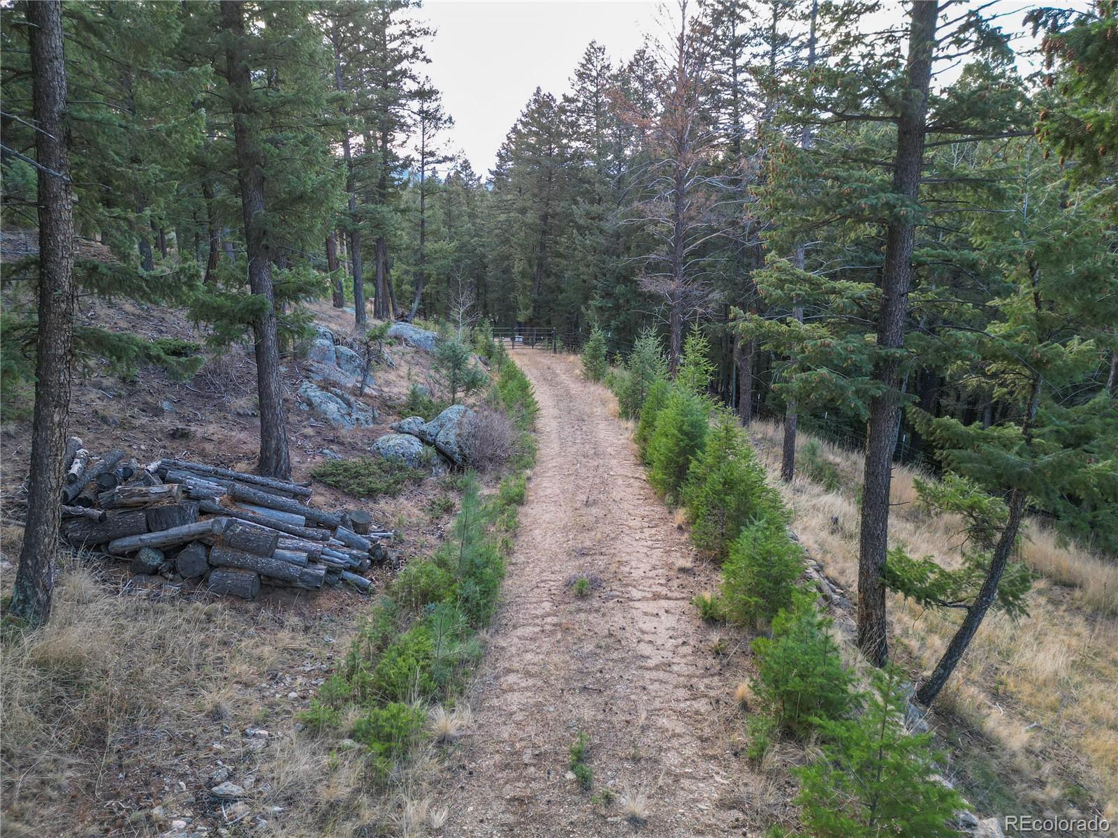 26779 Fern Gulch Road Evergreen CO 80439