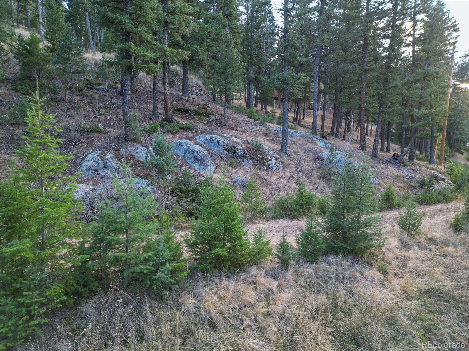 26779 Fern Gulch Road Evergreen CO 80439
