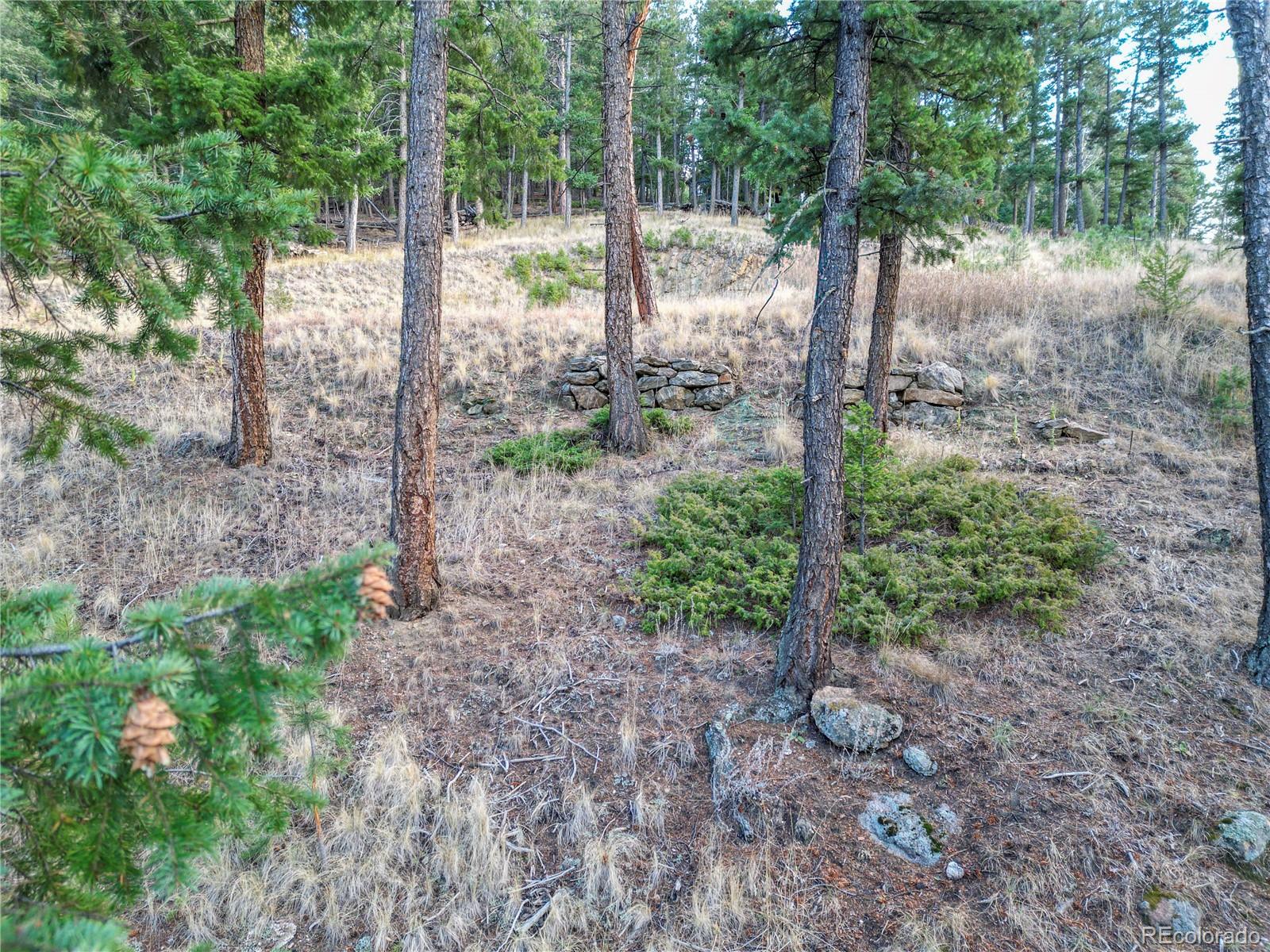 26779 Fern Gulch Road Evergreen CO 80439