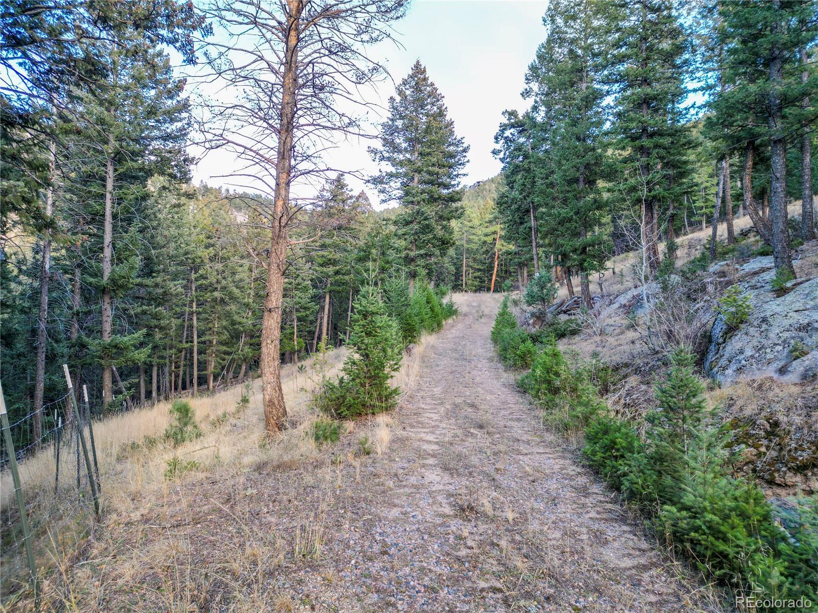 26779 Fern Gulch Road Evergreen CO 80439