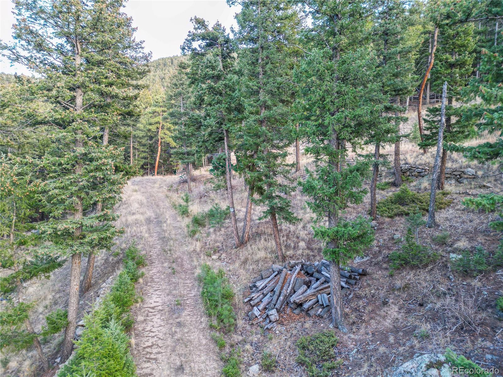26779 Fern Gulch Road Evergreen CO 80439