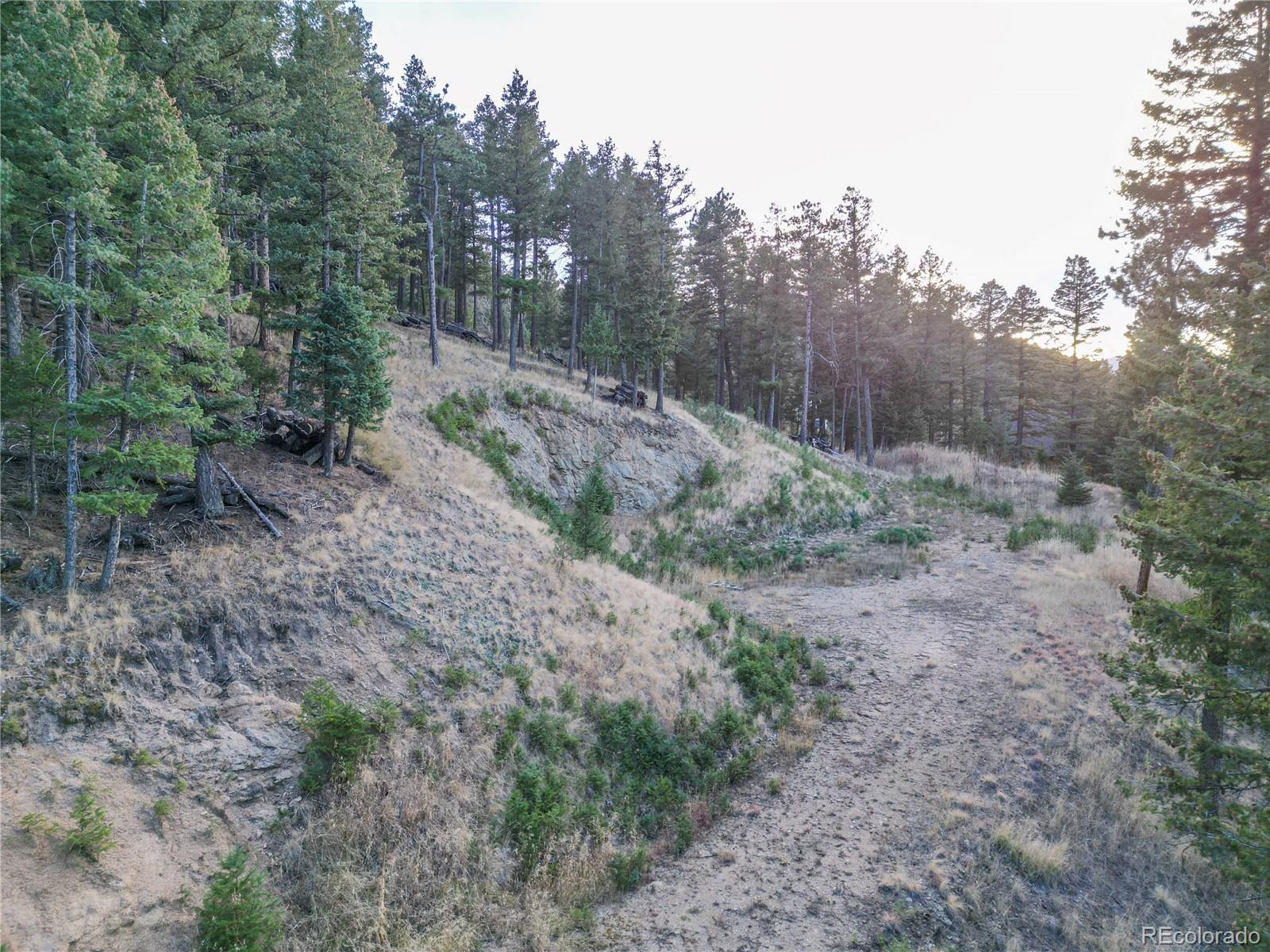 26779 Fern Gulch Road Evergreen CO 80439