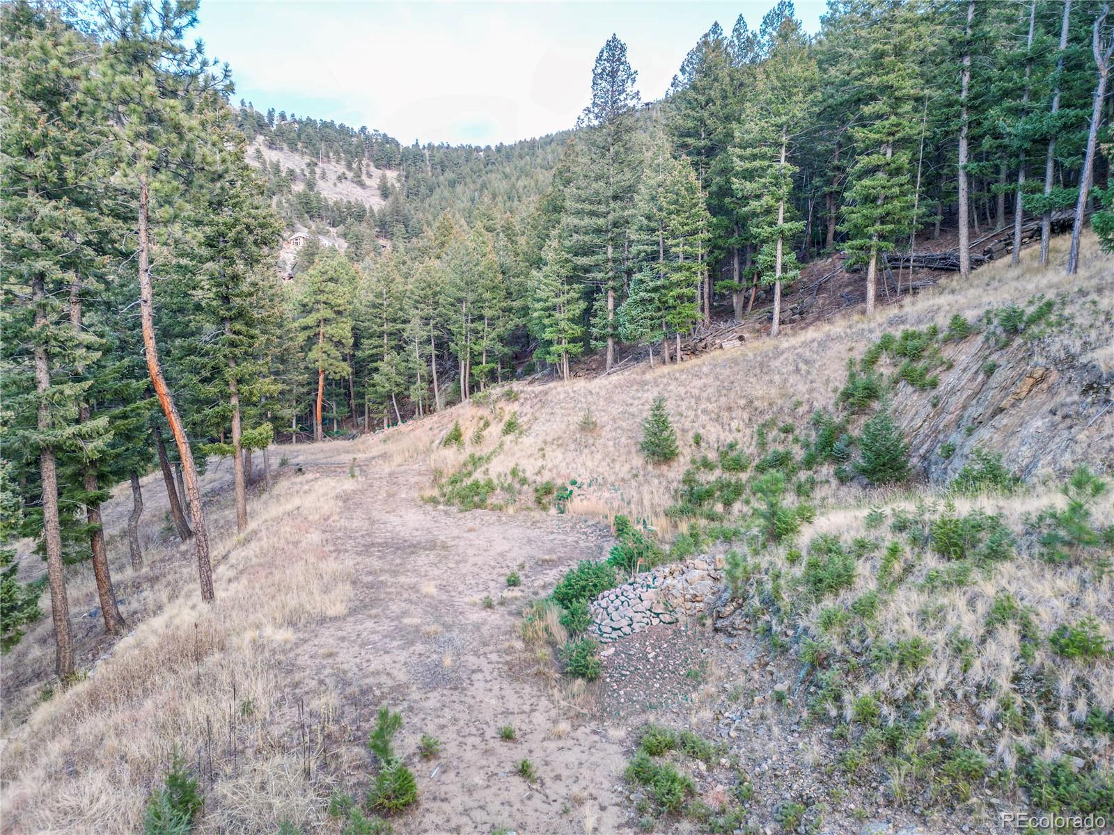 26779 Fern Gulch Road Evergreen CO 80439
