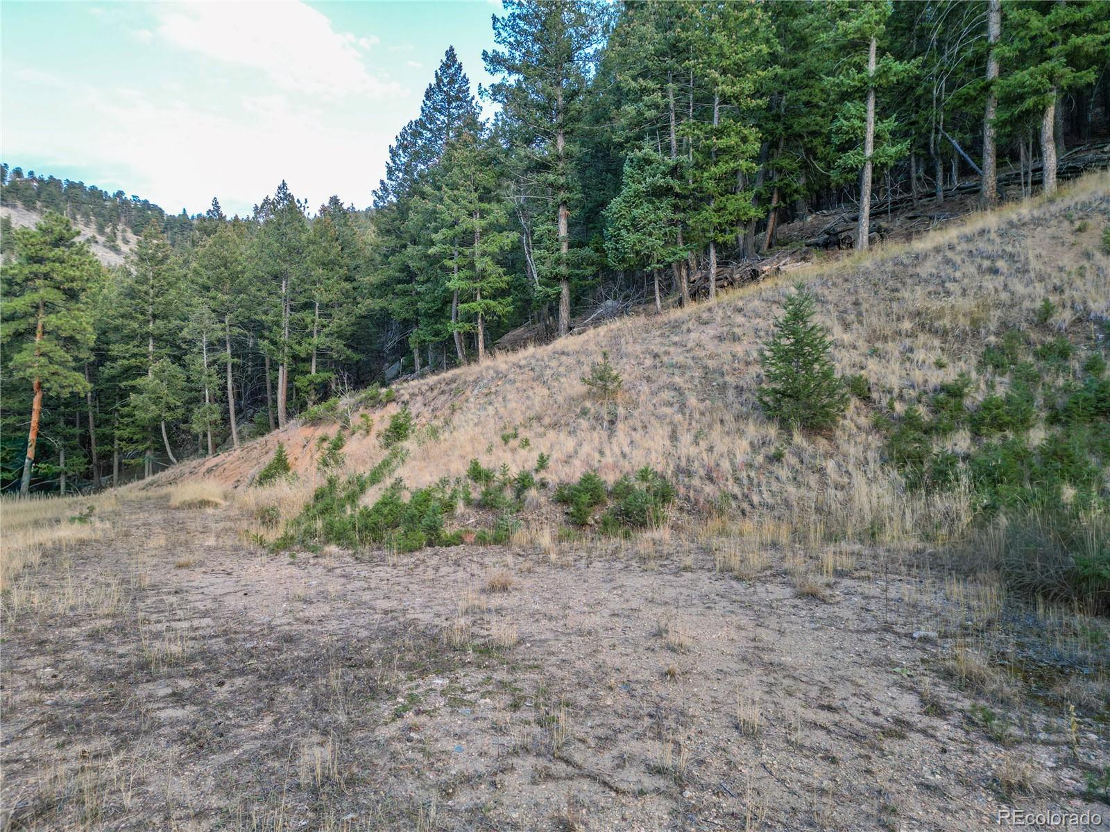 26779 Fern Gulch Road Evergreen CO 80439