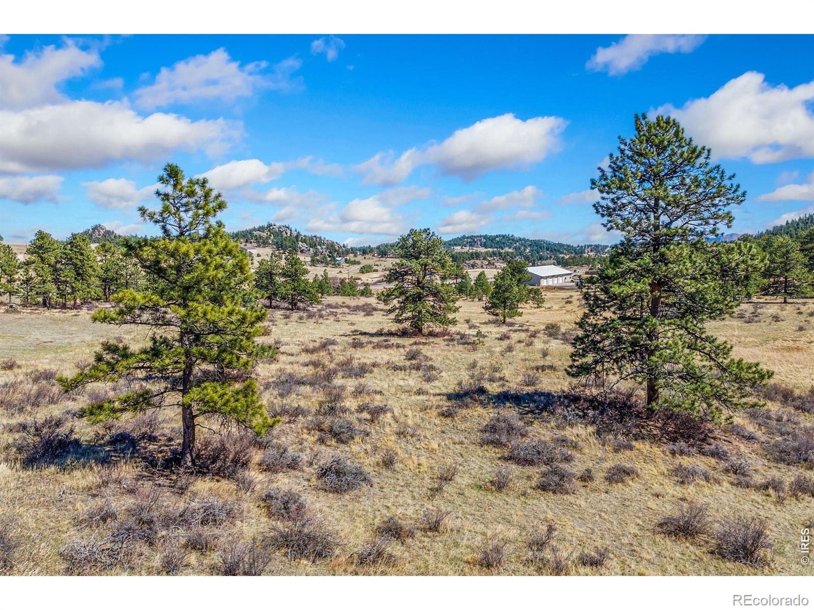 126 Cucharas Mountain Drive Livermore CO 80536