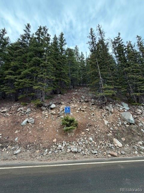 9208 Fall River Road Idaho Springs CO 80452