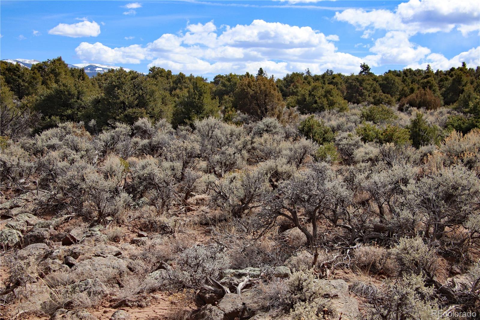 Lot 43 Shadow Trail San Luis CO 81152