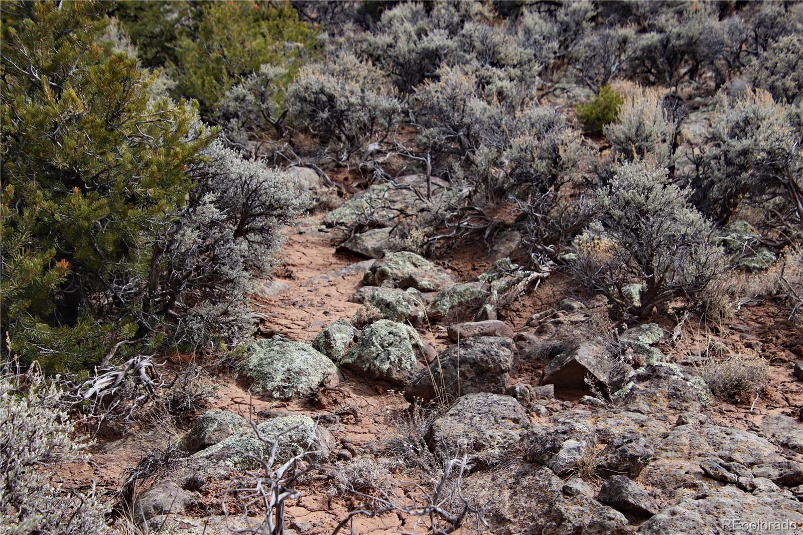 Lot 43 Shadow Trail San Luis CO 81152