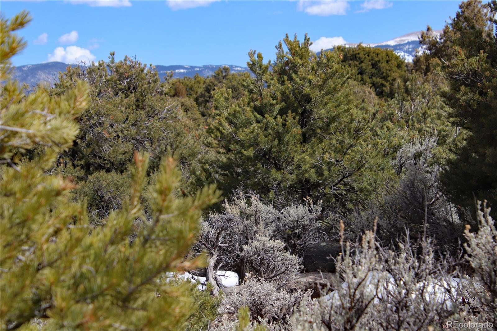 Lot 43 Shadow Trail San Luis CO 81152