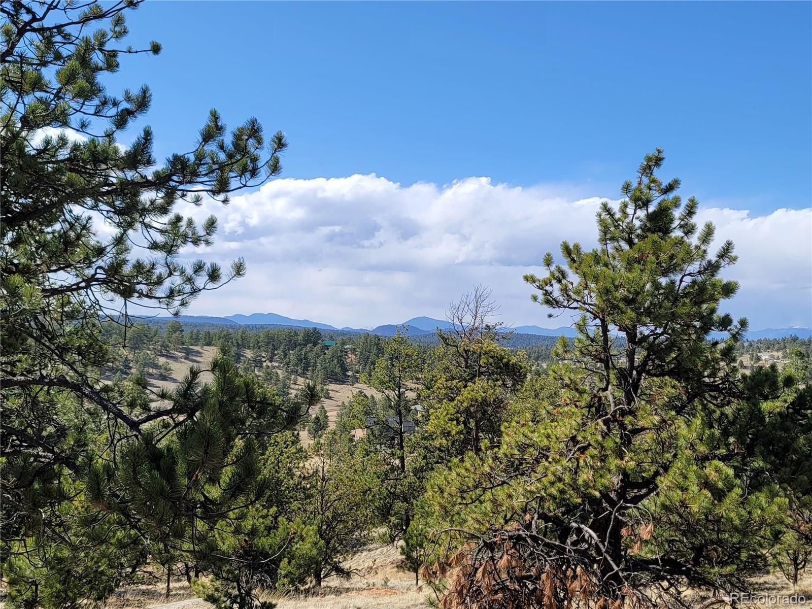 84 Victor Circle Florissant CO 80816