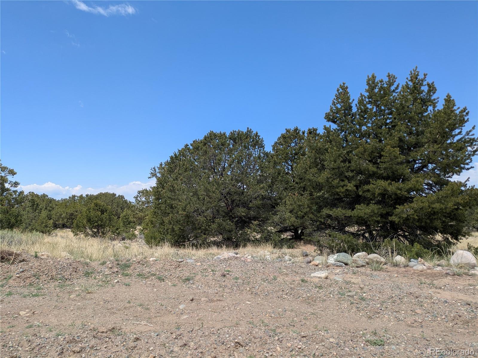 3431 W Graceful Court Crestone CO 81131
