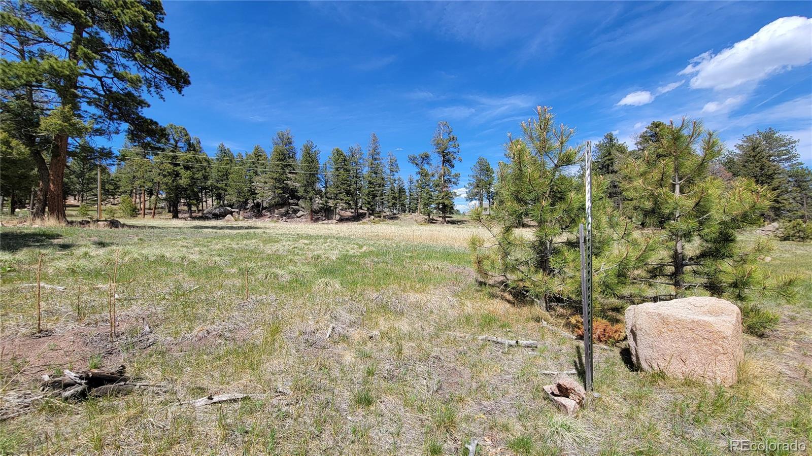 24073 Peak Drive Conifer CO 80433