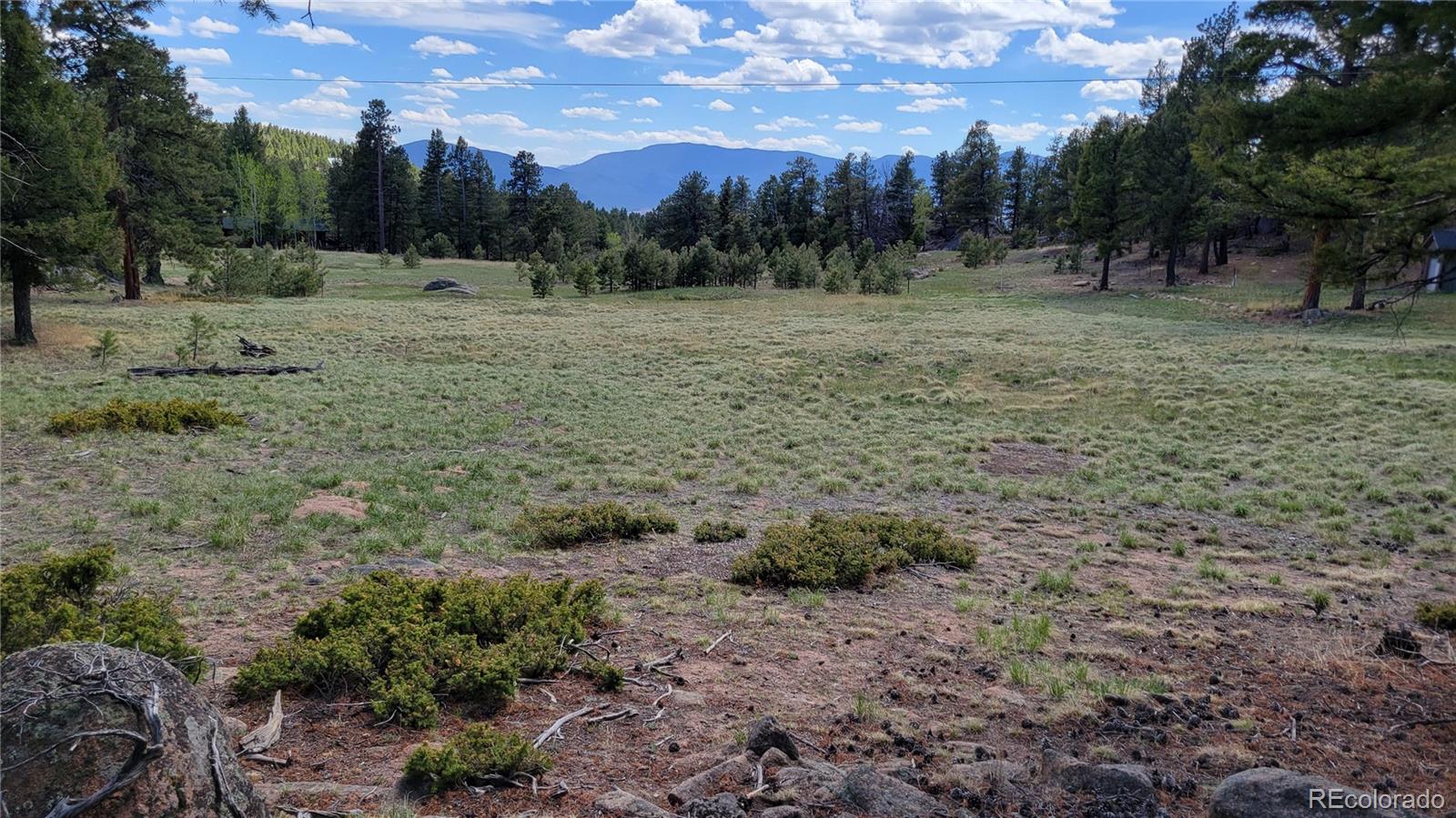 24073 Peak Drive Conifer CO 80433