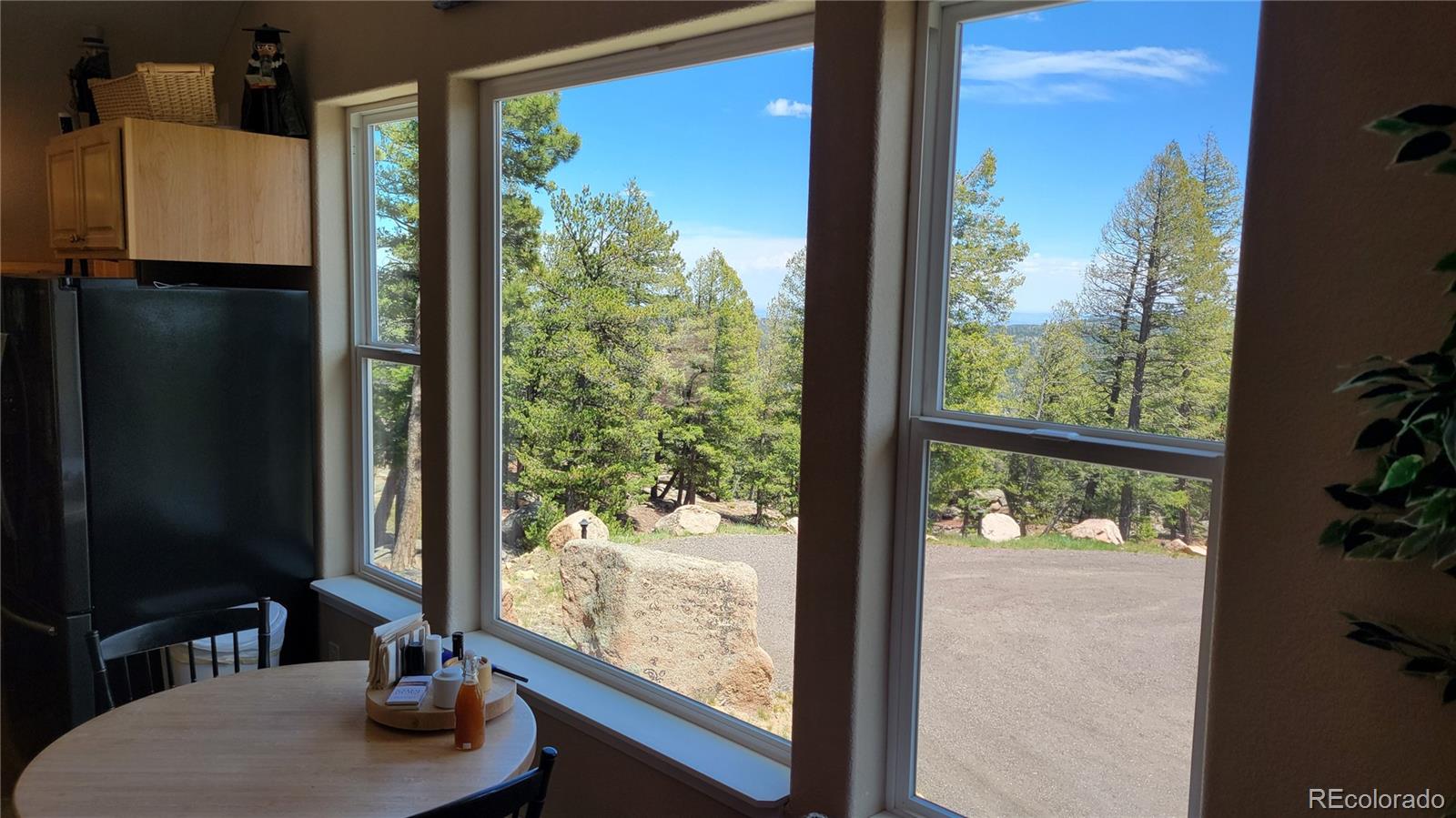 24073 Peak Drive Conifer CO 80433