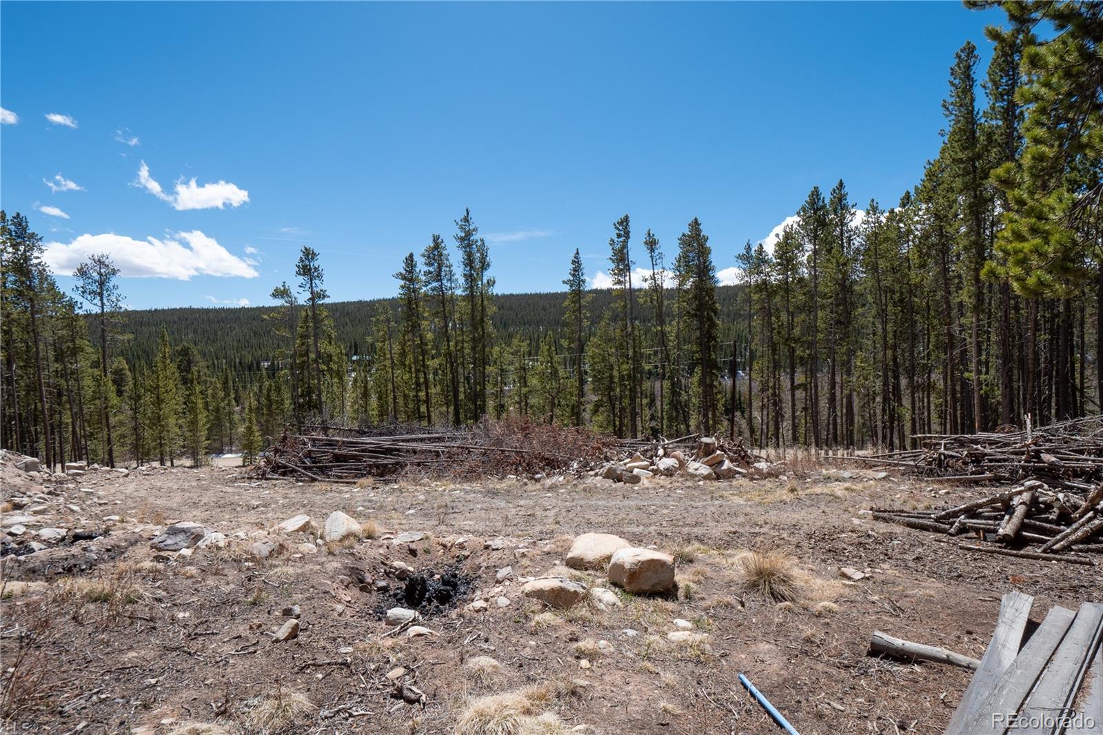 3149 Nugget Road Fairplay CO 80440